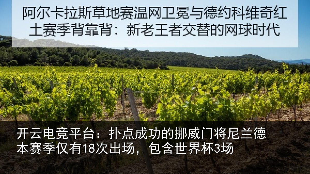 开云电竞平台：扑点相关情况兰德相关情况，包含世界杯3场