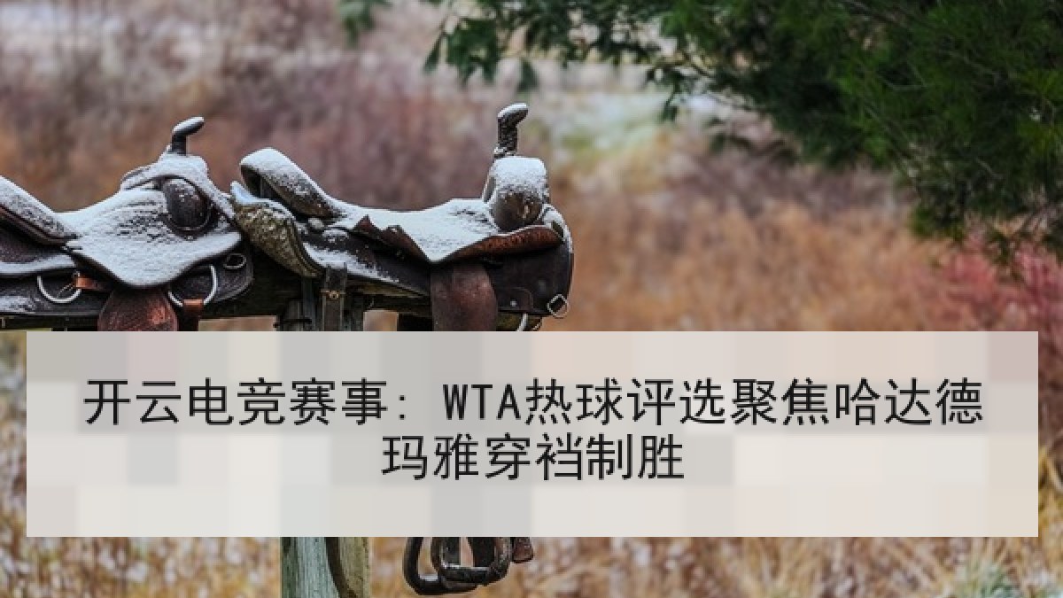 开云电竞赛事: WTA热球评选聚焦哈达德玛雅穿裆制胜 开云电竞赛事: WTA热球评选聚焦哈达德玛雅穿裆制胜