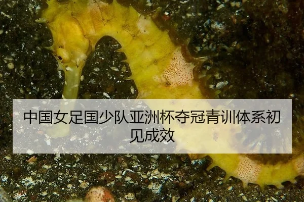 zhong-guo-nv-zu-guo-shao-dui-ya-zhou-bei-duo-guan-qing-xun-ti-xi-chu-jian-cheng-xiao-2-879.jpg